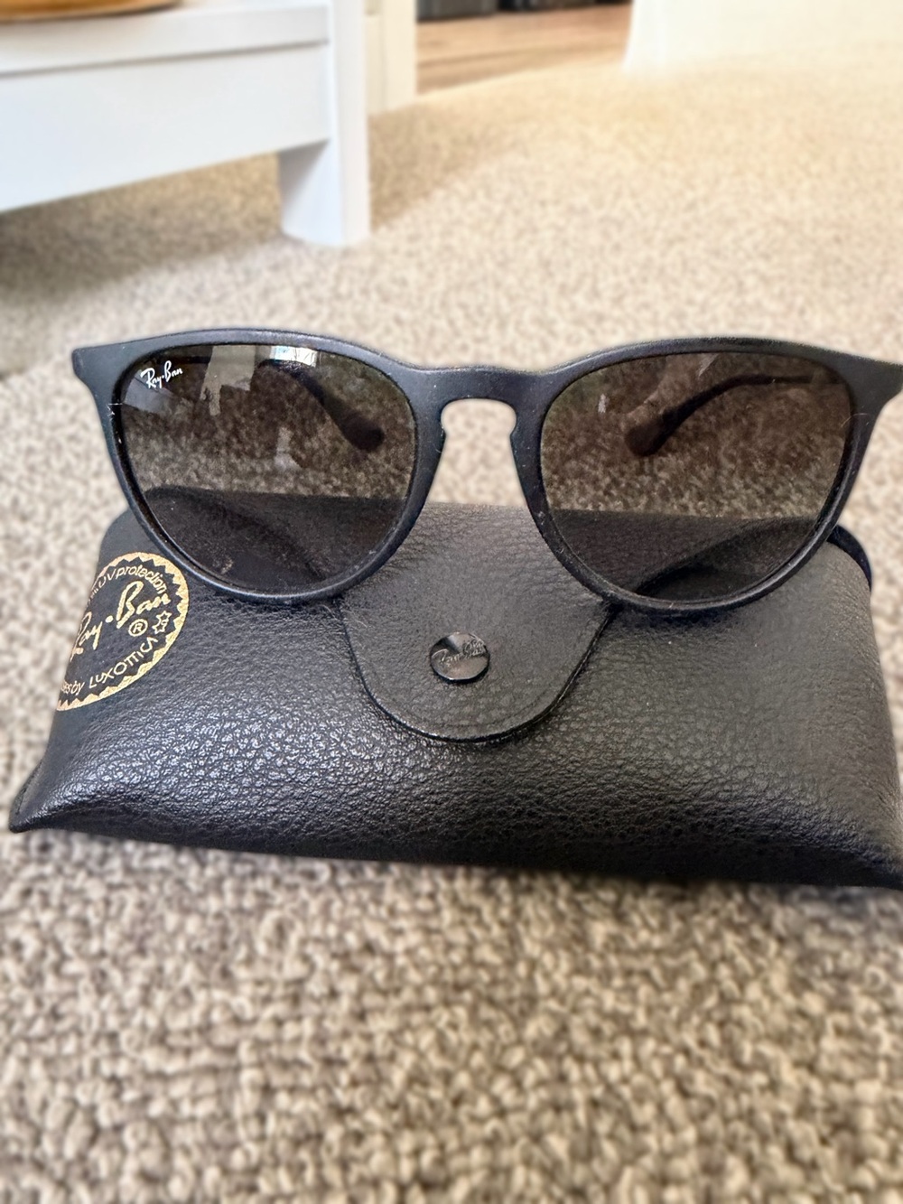 Ray-Ban Erika Classic Sunglasses